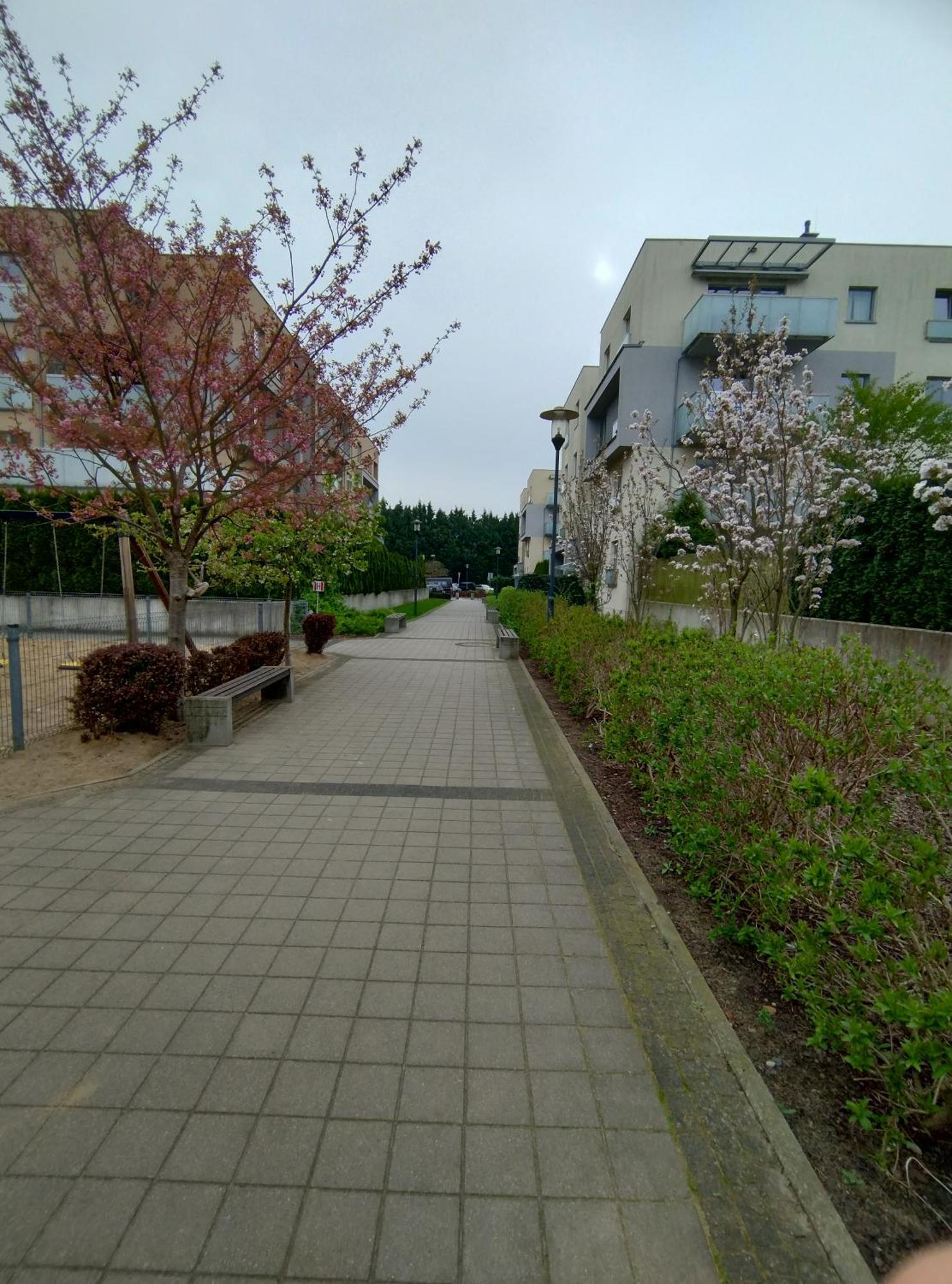 Apartament 1E Barbakan 슈체친 외부 사진